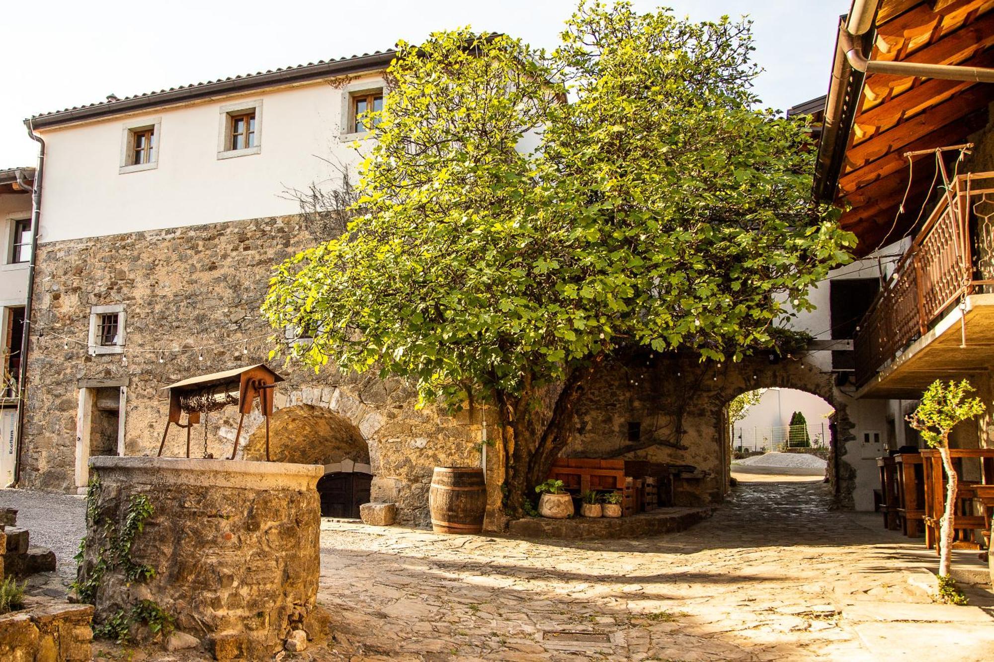 Boutique Rooms & Winery Zorz Vipava Εξωτερικό φωτογραφία