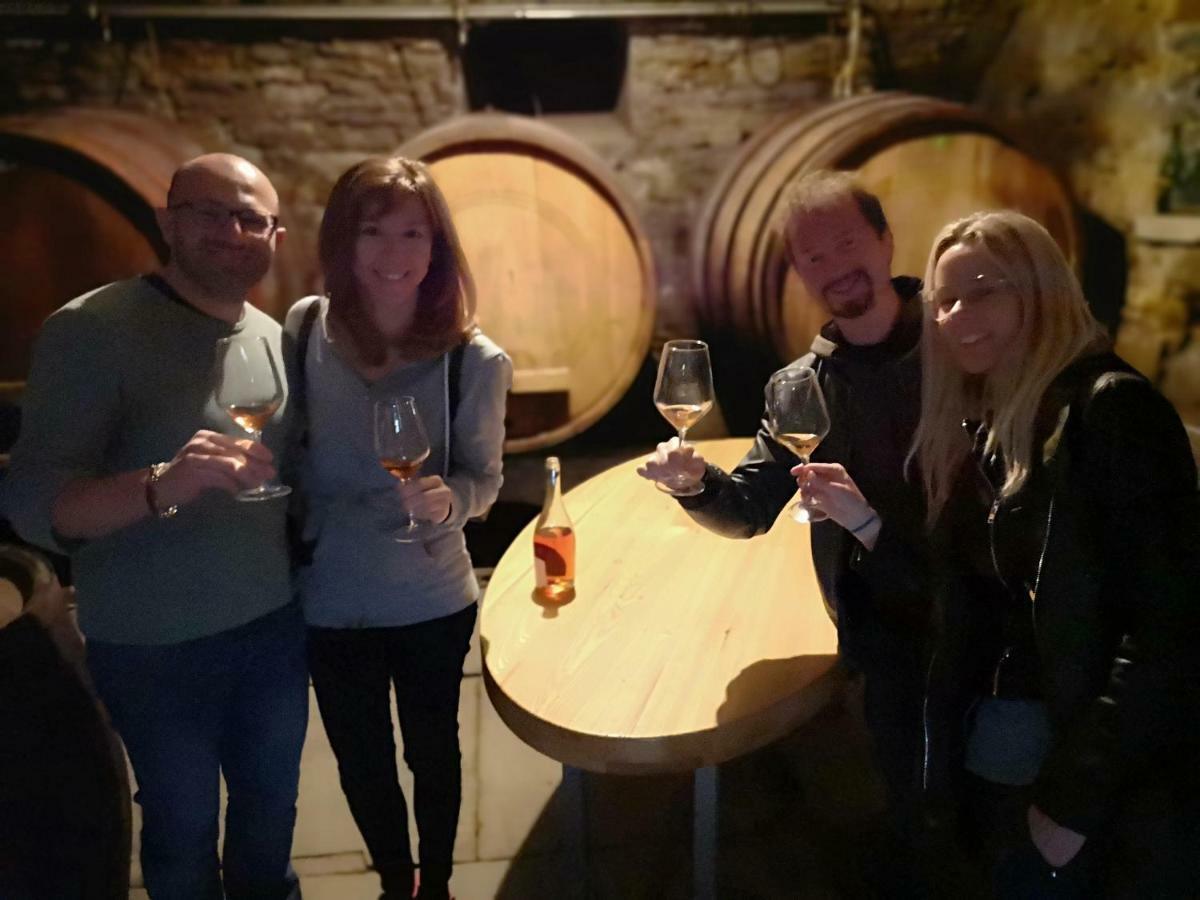 Boutique Rooms & Winery Zorz Vipava Εξωτερικό φωτογραφία